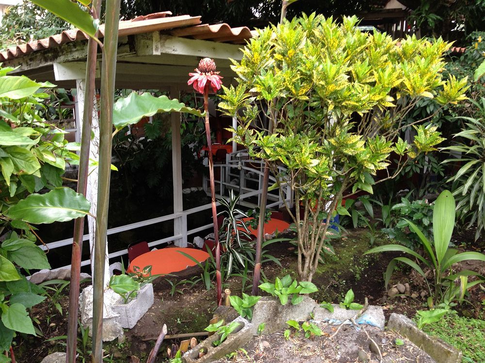 Socialtel Boquete Hotel Exterior photo