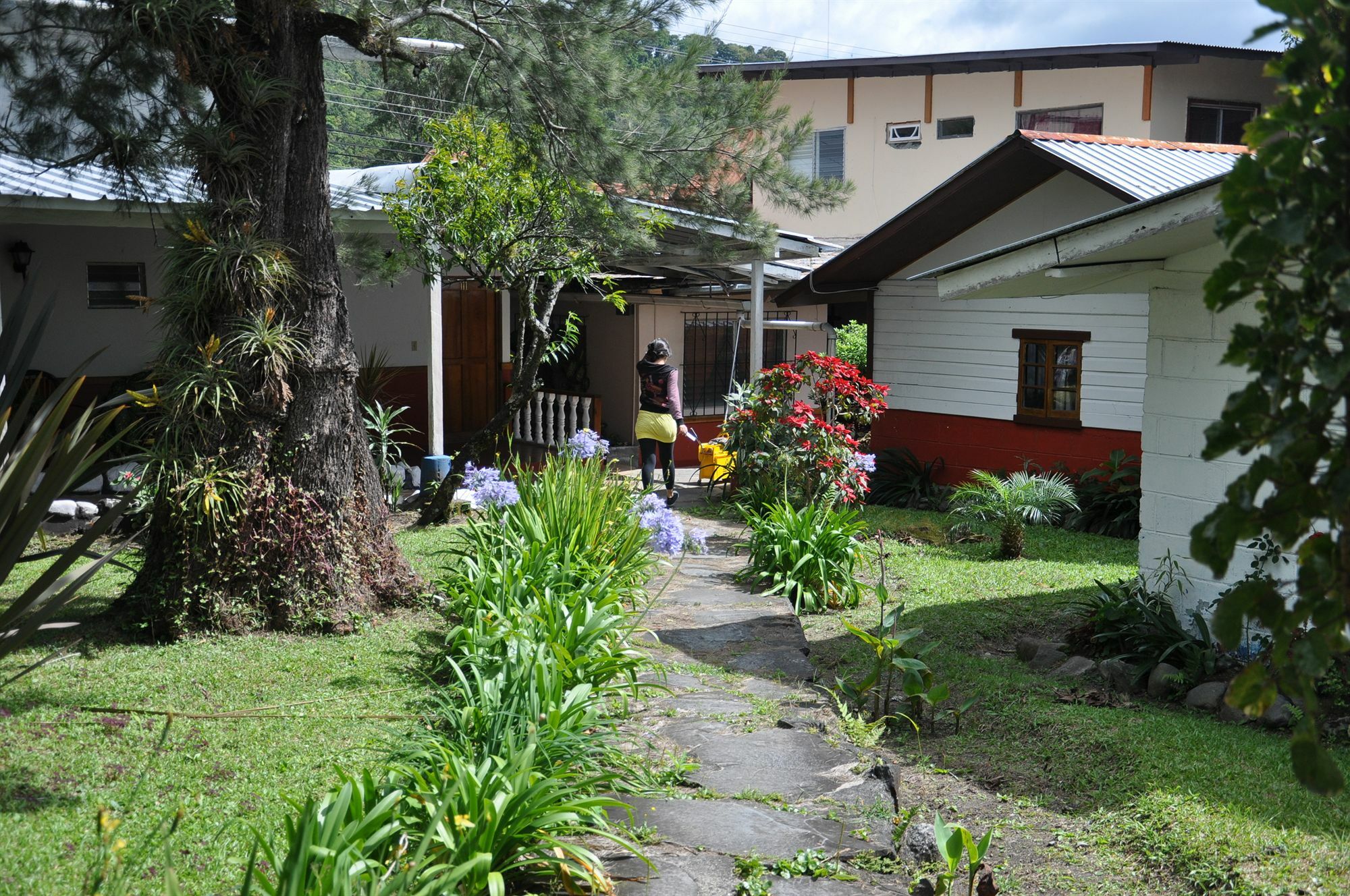 Socialtel Boquete Hotel Exterior photo
